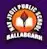 Nav Jyoti Public School logo