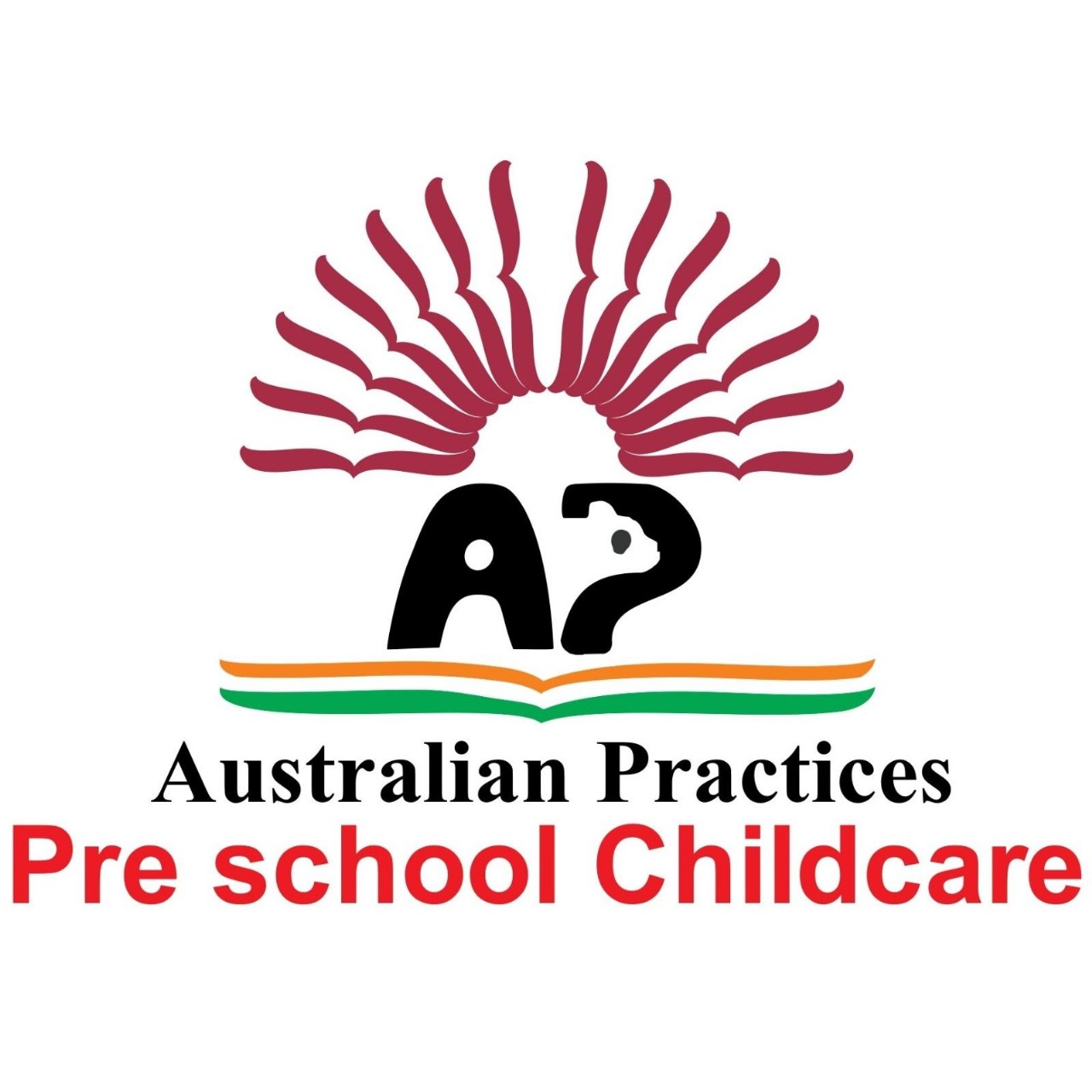 Australian Practices Canvas International School logo