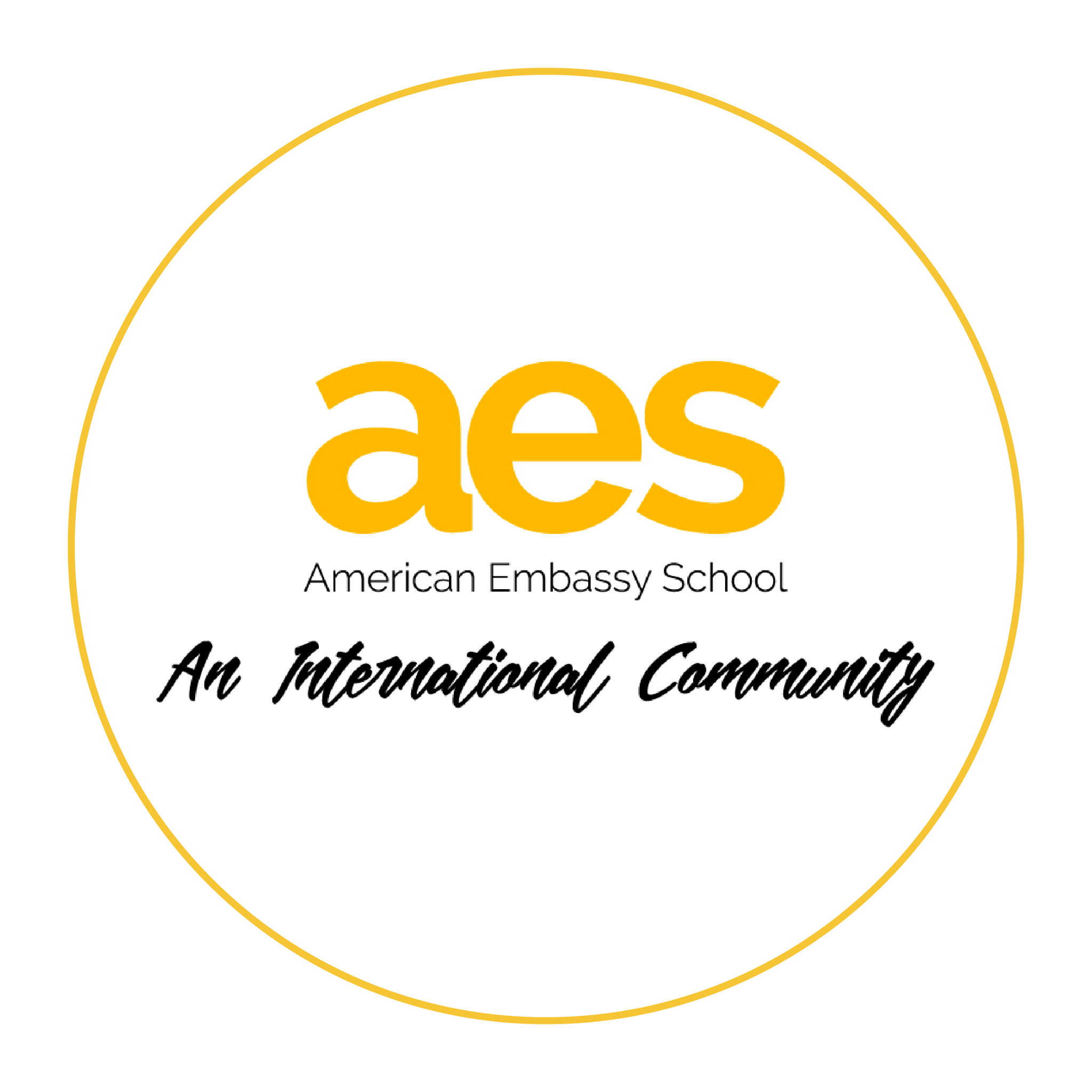 American Embassy School logo