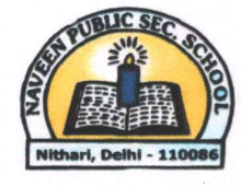 Naveen Public School logo