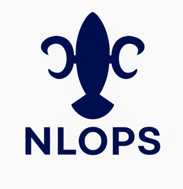 New Little One's Public School logo