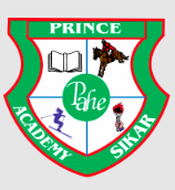 Prince Academy logo