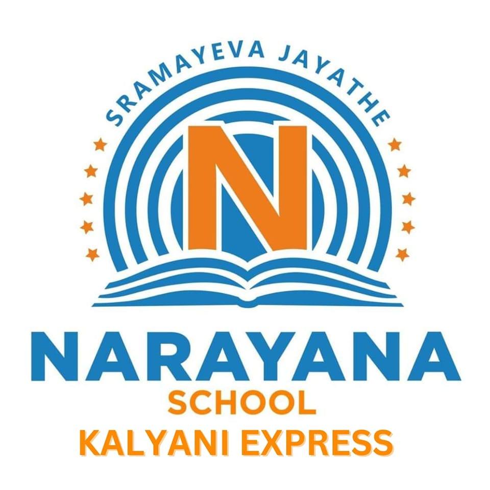 Narayana School logo