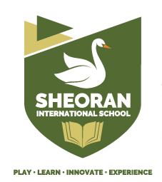Sheoran International School logo