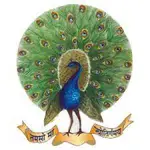 Mayoor Chopasni School logo