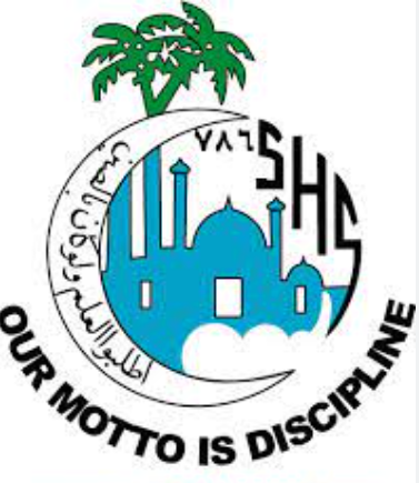 Saifi High School logo