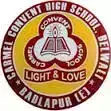 Carmel Convent High School logo