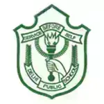 DPS International School logo