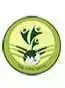 Whitefield Global School logo