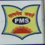 Public Model School logo