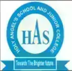 Holy Angels School And Junior College logo