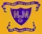 New Millennium School logo