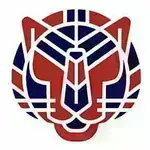 The Tigerish School logo