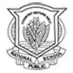 National Public School logo