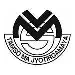 Vidya Mandir Public School logo