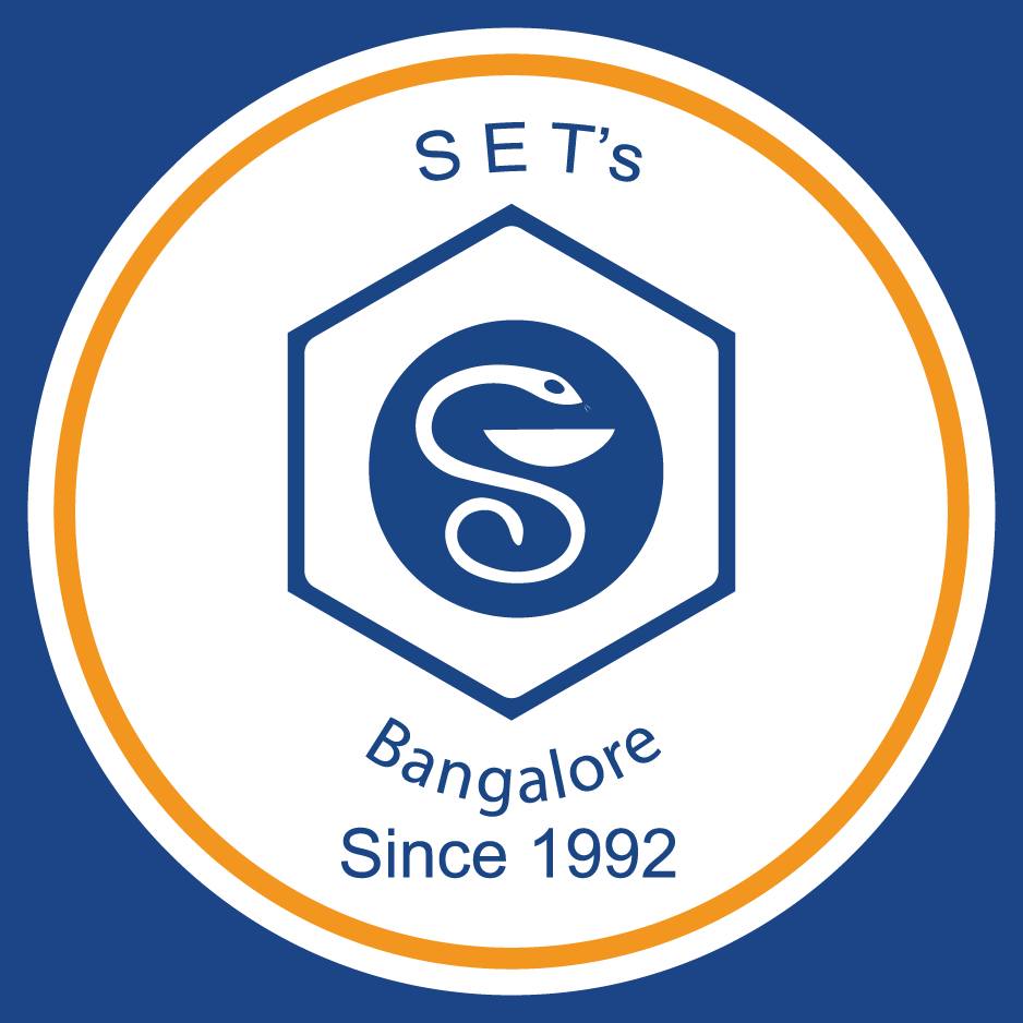 Nargund International School logo