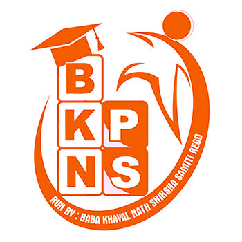 BKN Public School logo