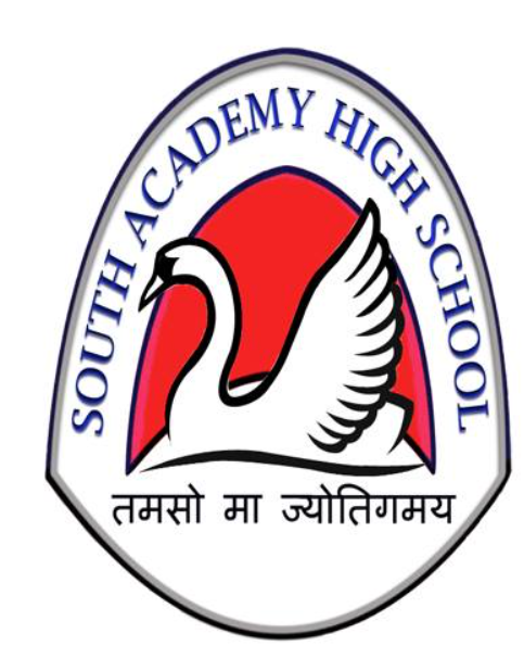 South Academy High School logo