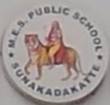 M.E.S Public School logo