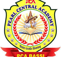 N.I.C Senior Secondary School logo
