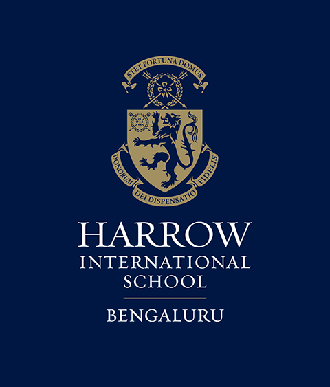 Modern Senior Secondary School logo