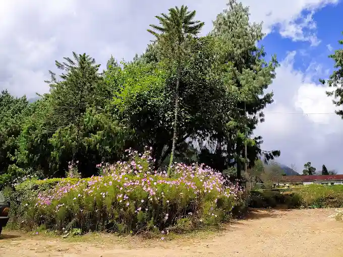 Nazareth Residential School campus photo 3 of 4 — Kohima