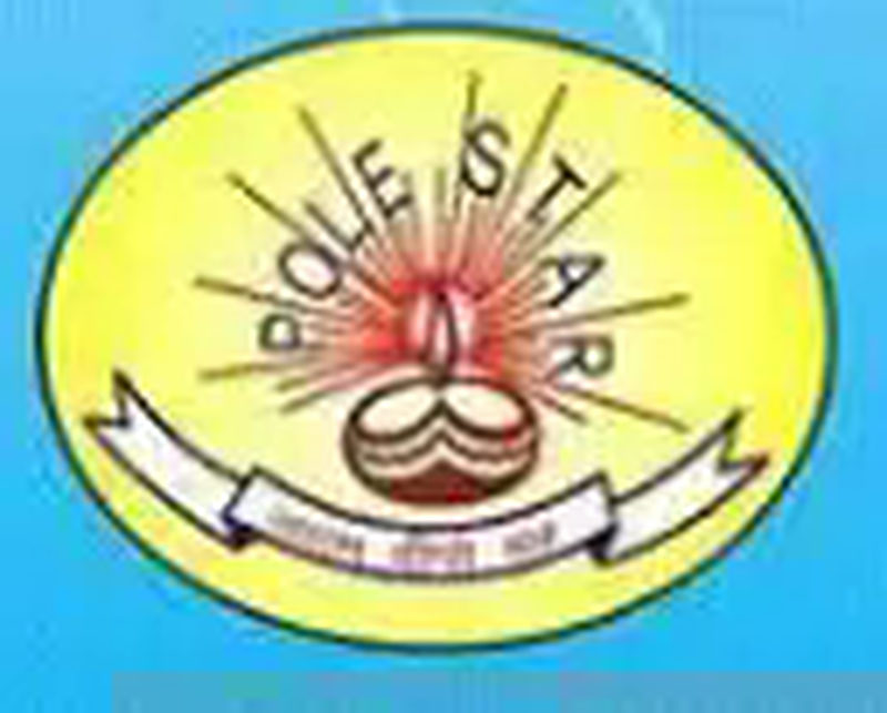 Pole Star logo